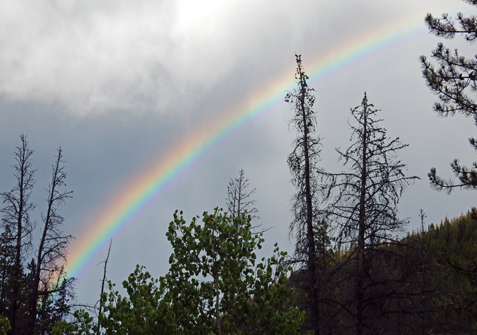Photo of rainbow, taken near the Wild Basin Trailhead, RMNP, Colorado