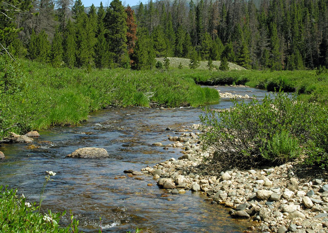 Shot looking up the Cache la Poudre River, 6 miles from the trailhead