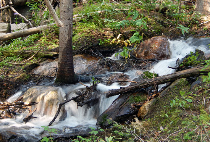 One of many small streams in Comanche Peak Wilderness