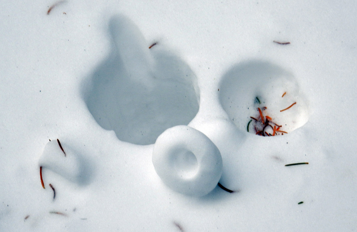 Ski pole marks in the snow along the Flattop Mountain Trail