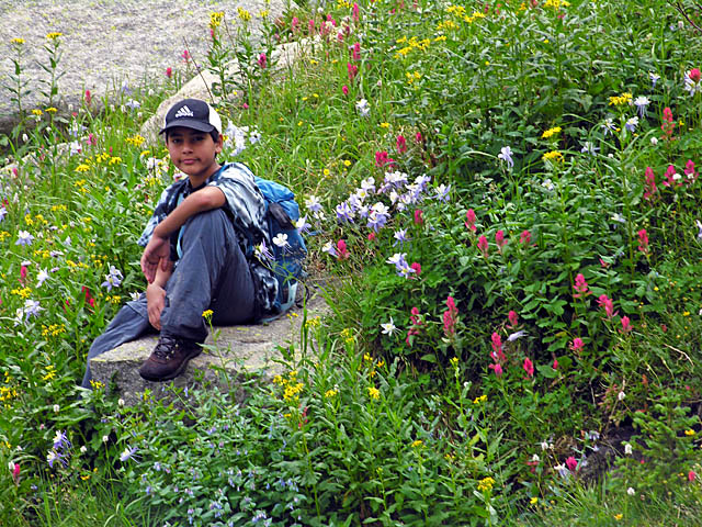 Christopher sitting on rock in wildflowers - Indian Peaks Wilderness Area, Colorado