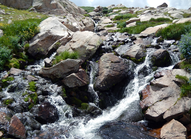 Cascading stream just up from Lake Dunraven