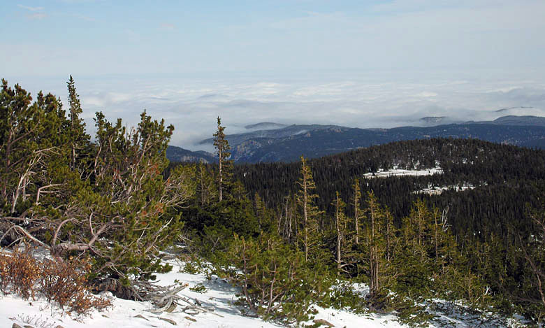 View looking northeast from timberline on the Indian Peaks, Mount Audubon trail