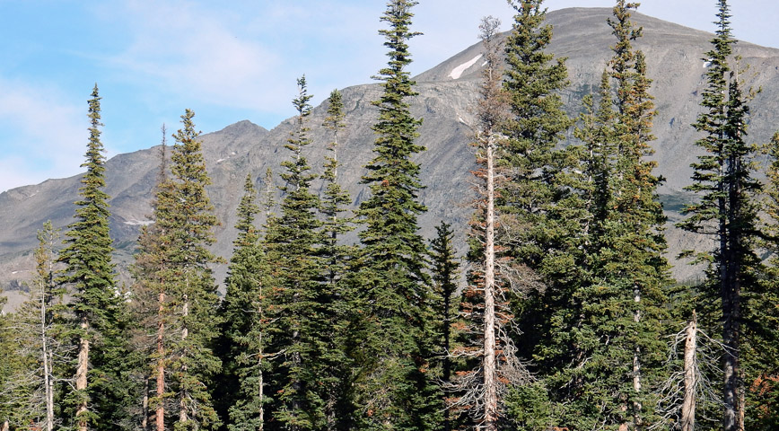 View of Mount Audubon and Paiute Peak to the left, from the Brainard Lake Campgrounds, Indian Peaks Wilderness, Colorado