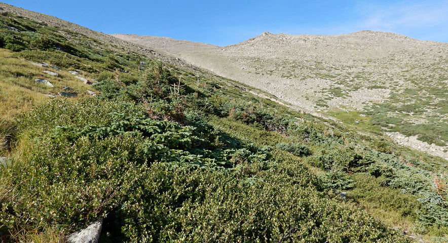 Distant view of Storm Peak North Ridge from near Boulder Brook above timberline