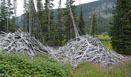 Debris at the site of an old logging mill at Cirque Meadows