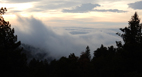 View from the Wathen trail looking east at the low clouds over Fort Collins at 7:58 AM