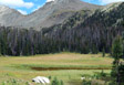 Meadow and pond along the Lake of the Clouds trail in the Never Summer Range