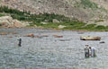 Guided group fly fishing in Lake Husted, above Lost Lake