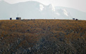 Zoomed in view of the Niwot Ridge Long-Term Ecological Research site from the Pawnee Pass Trail