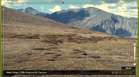 Paiute Peak and Mt Audubon from the Niwot Ride LTER site TundraCam