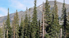 View of Mount Audubon and Paiute Peak to the left, from the Brainard Lake Campgrounds, Indian Peaks Wilderness, Colorado