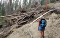 Large Landslide area on Timber Lake Trail in Rocky Mountain National Park