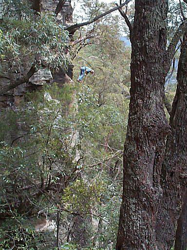 Abseiling or hanging (can't tell which) at the Monkeyface Cliffs