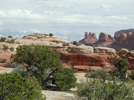 Tusher Canyon / Courthouse Pasture area & La Sal Mountains, Moab, Utah