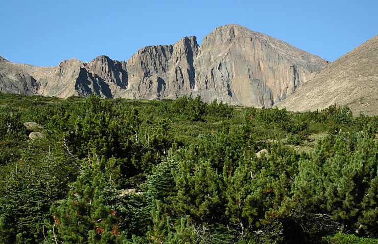 View of the Longs Peak Diamond Wall from timberline, Rocky Mountain National Park, Colorado