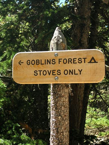Goblin Forest camping area along Longs Peak Trail, Rocky Mountain National Park, Colorado