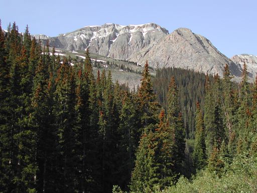 View looking southwest, approaching Handies Peak from the Grizzly Gulch Trailhead.
