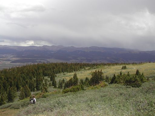 Descending back down to timberline on Mount Massive’s East Slopes Route