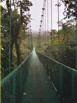 Suspension bridge along the Tree Top Walk Ways Trail through the cloud forest at Selvature Park, Santa Elena, Costa Rica