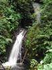 Small jungle waterfall along one of the trails at the Monteverde Cloud Forest Reserve, Costa Rica