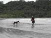 A local, horseback riding along the beach with a young colt following