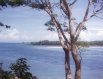 View looking out to a nearby island, from the island and cabin we stayed at during this charter dive trip to the Perlas Islands in the Gulf of Panama